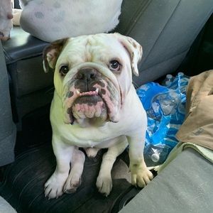 Meet your Posher, Darla